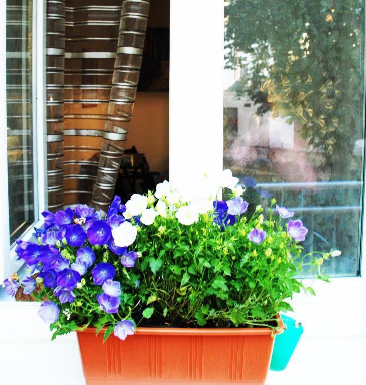 Apartment 5 Min By Walk To The Center Brno Exterior photo